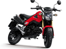 Honda MSX 125 2013