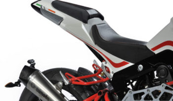 Bimota Tesi 3D Naked 2013 lleno