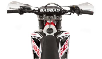 Gas Gas EC 250 Racing 2015 lleno