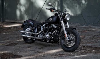 Harley Davidson Softail Slim 2012 lleno