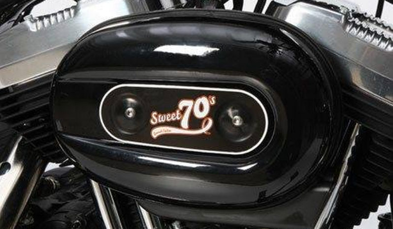 Harley Davidson Sportster XL 1200 X Forty-Eight Sweet 70´s 2013 lleno