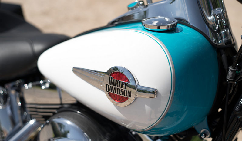 Harley Davidson Heritage Softail Classic 2016 lleno