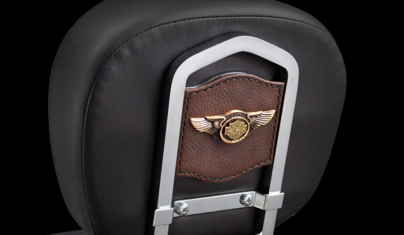 Harley Davidson Softail Heritage Classic 110th Aniversario 2013 lleno