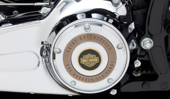 Harley Davidson Softail Heritage Classic 110th Aniversario 2013 lleno
