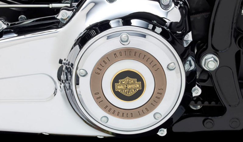 Harley Davidson Softail Heritage Classic 110th Aniversario 2013 lleno