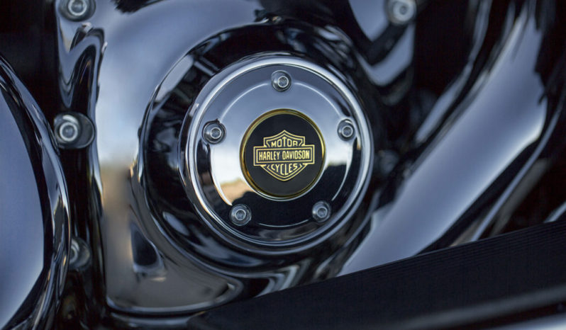 Harley Davidson Softail Heritage Classic 110th Aniversario 2013 lleno
