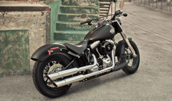 Harley Davidson Softail Slim 2013 lleno