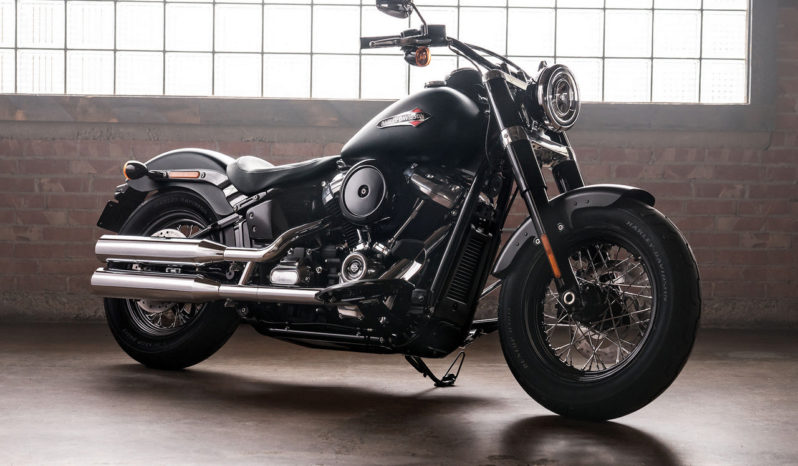 Harley Davidson Softail Slim 2018 lleno