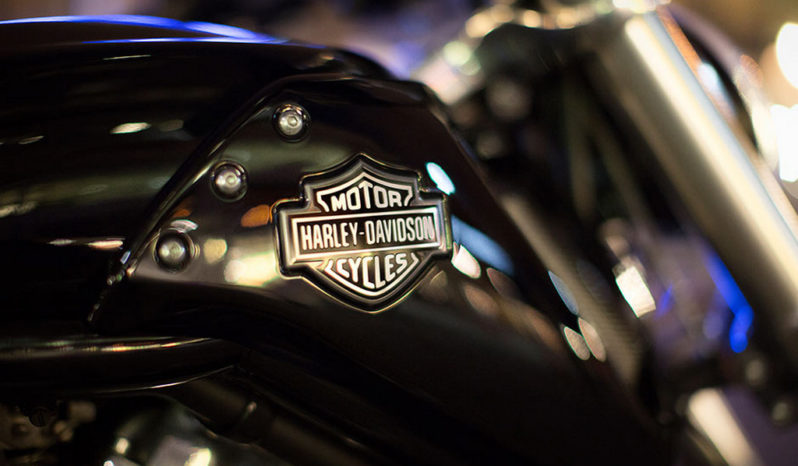 Harley Davidson V-Rod Muscle 2015 lleno