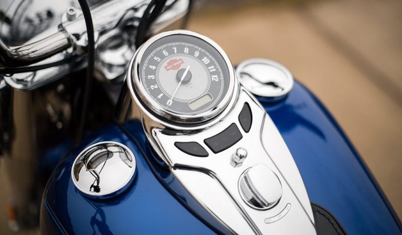 Harley Davidson Heritage Softail Classic 2015 lleno