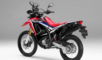 Honda CRF250 Rally 2017 lleno