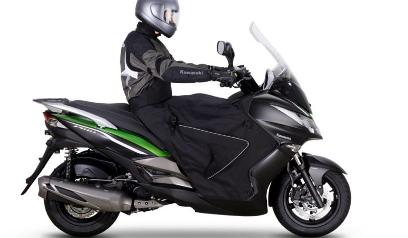 Kawasaki J300 2014 lleno