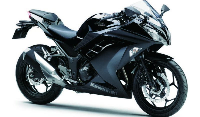 Kawasaki Ninja 300 2013 lleno