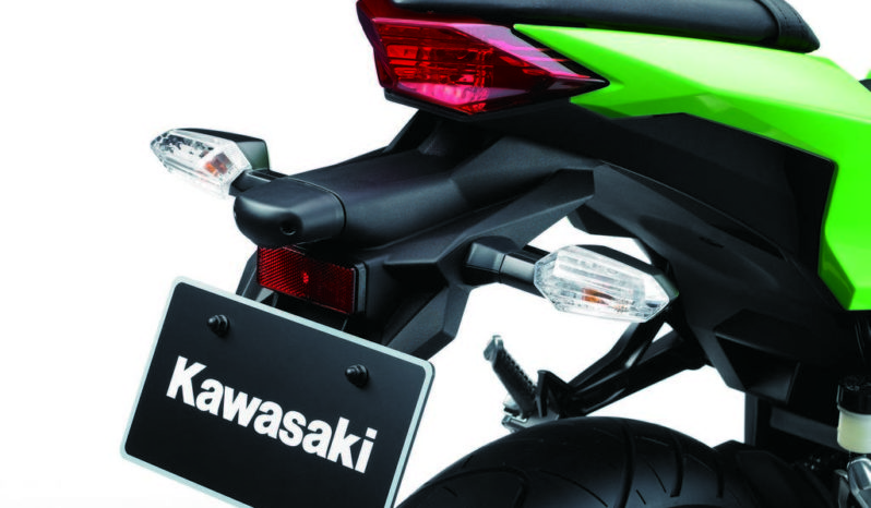 Kawasaki Ninja 300 2013 lleno