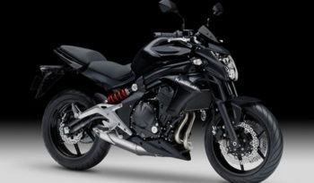 Kawasaki ER-6n ABS 2013 lleno