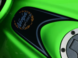 Kawasaki Ninja 300 30th Anniversary Edition 2015