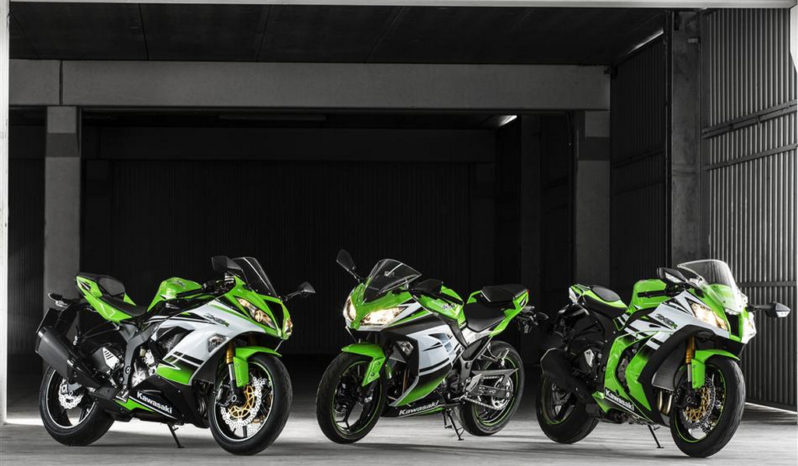 Kawasaki Ninja 300 30th Anniversary Edition 2015 lleno