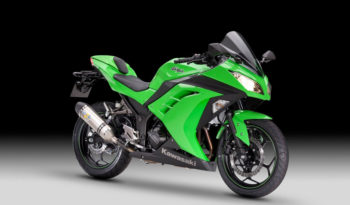 Kawasaki Ninja 300 Performance ABS 2013 lleno