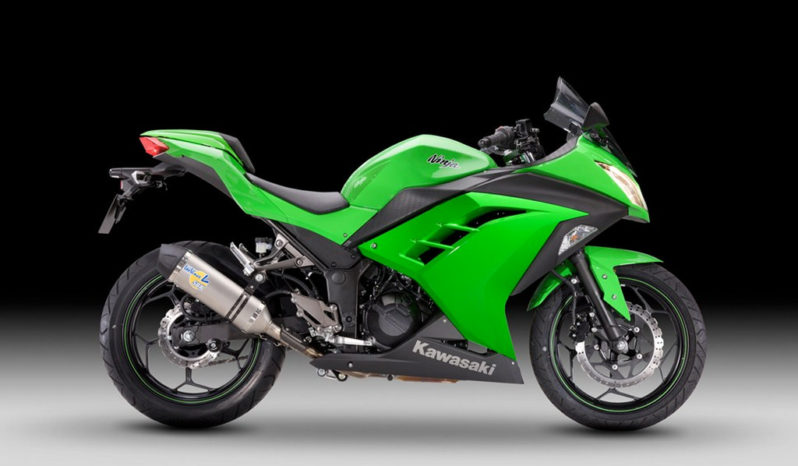 Kawasaki Ninja 300 Performance ABS 2013 lleno