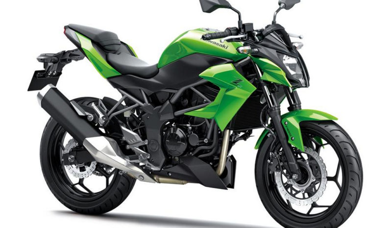 Kawasaki Z250SL 2015 lleno