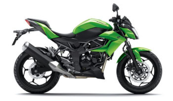 Kawasaki Z250SL 2015 lleno