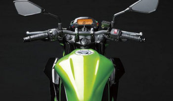 Kawasaki Z250SL 2015 lleno