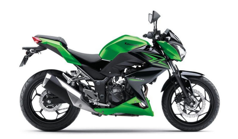 Kawasaki Z300 2015 lleno