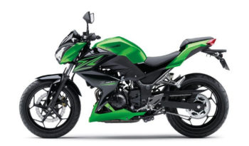 Kawasaki Z300 2015 lleno