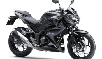 Kawasaki Z300 2015 lleno