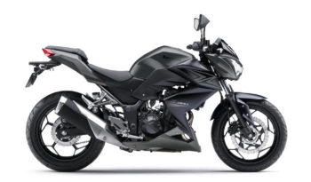 Kawasaki Z300 2015 lleno