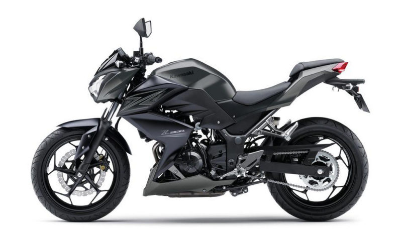 Kawasaki Z300 2015 lleno