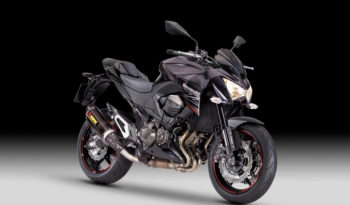 Kawasaki Z800 Performance ABS 2013 lleno