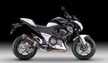 Kawasaki Z800 Performance ABS 2013 lleno