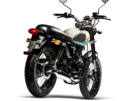 Mash Seventy-five 125 2014