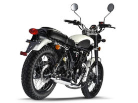 Mash Seventy-five Vintage 125 2014