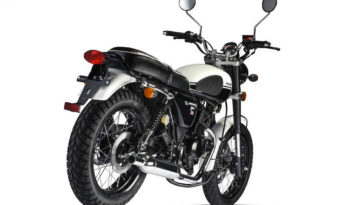 Mash Seventy-five Vintage 125 2014 lleno