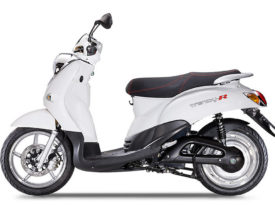 Nimoto Trendy R 2012