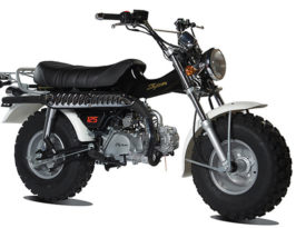 Sumco T-Rex 125 2013