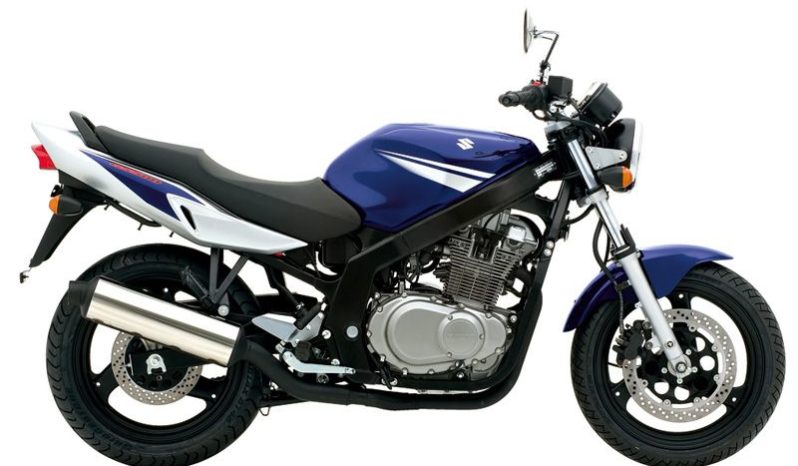 Suzuki GS 500 2006 lleno