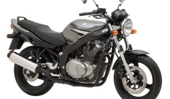 Suzuki GS 500 2006 lleno