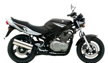 Suzuki GS 500 2006 lleno