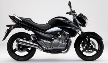 Suzuki Inazuma 250 2013 lleno