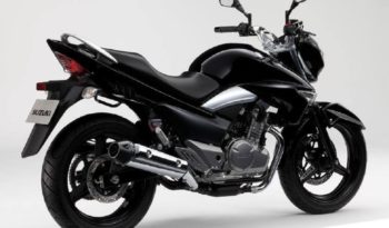 Suzuki Inazuma 250 2013 lleno