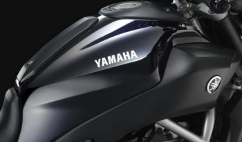 Yamaha MT-07 2014 lleno