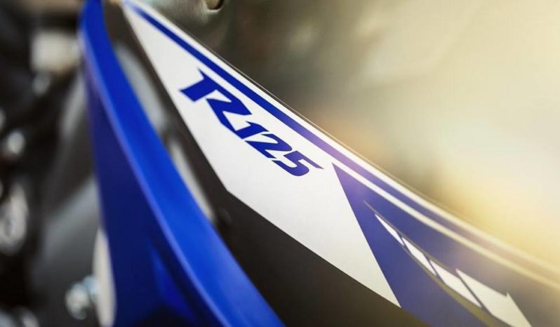 Yamaha YZF-R125 2014 lleno