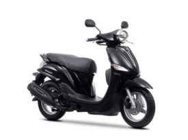 Yamaha D´elight 2013