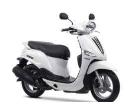 Yamaha D´elight 2013