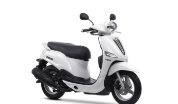 Yamaha D´elight 2013 lleno