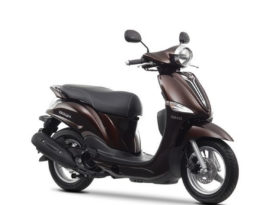 Yamaha D´elight 2013