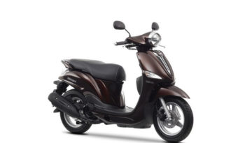 Yamaha D´elight 2013 lleno